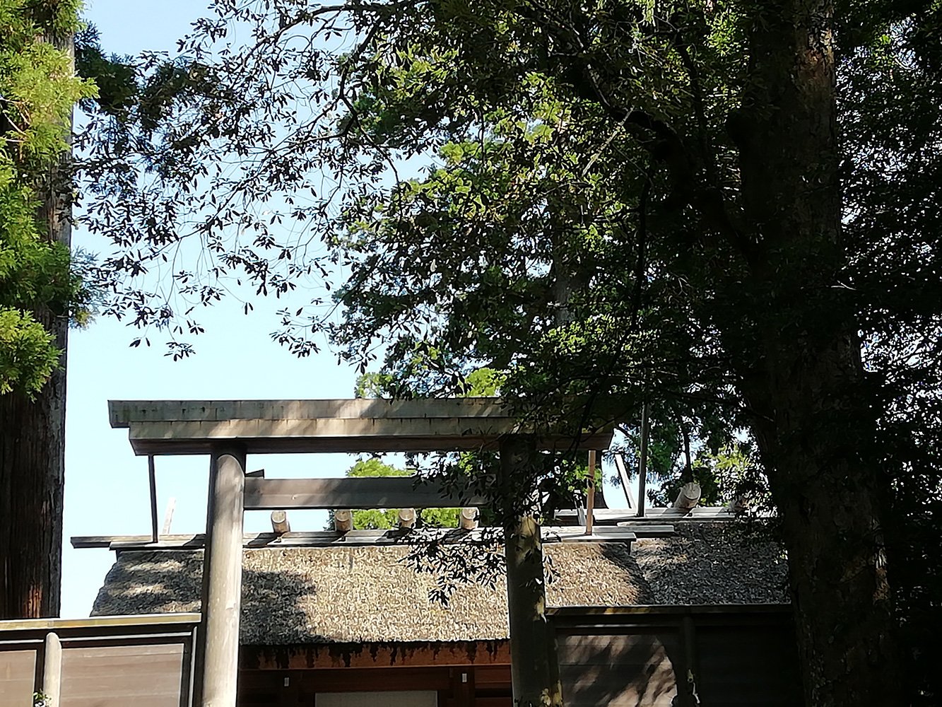 占い師feelのお気に入り写真2